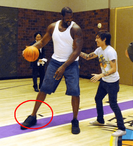 谁想要？小迈克尔·波特14中8砍半场最高25分 三分9中5（小迈克尔·波特半场轰25分：14投8中，三分9投5中）